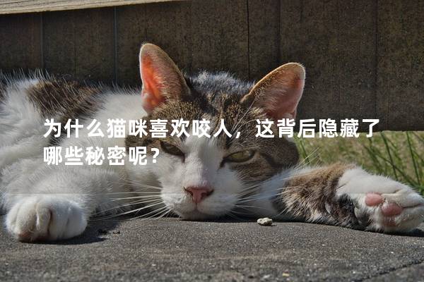 為什么貓咪喜歡咬人，這背后隱藏了哪些秘密呢？