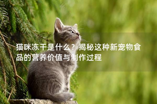 貓咪凍干是什么？揭秘這種新寵物食品的營養價值與制作過程
