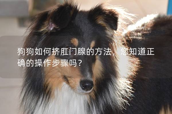 狗狗如何擠肛門腺的方法，您知道正確的操作步驟嗎？