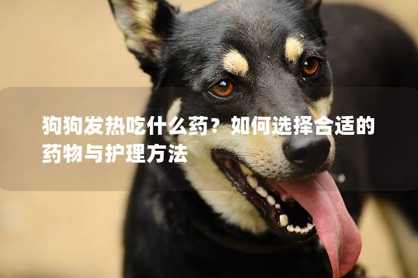 狗狗發熱吃什么藥？如何選擇合適的藥物與護理方法