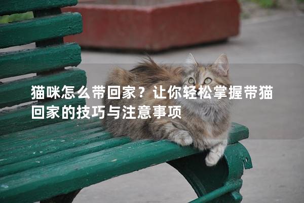 貓咪怎么帶回家？讓你輕松掌握帶貓回家的技巧與注意事項