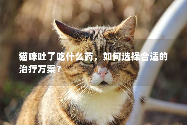 貓咪吐了吃什么藥，如何選擇合適的治療方案？