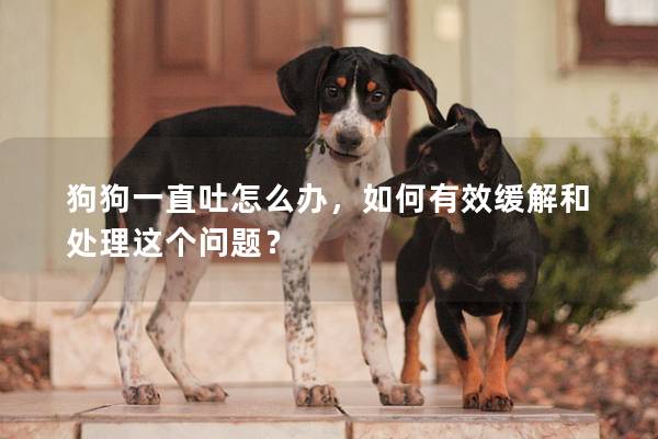 狗狗一直吐怎么辦,如何有效緩解和處理這個問題? 狗狗一直吐怎么辦,如何有效緩解和處理這個問題?