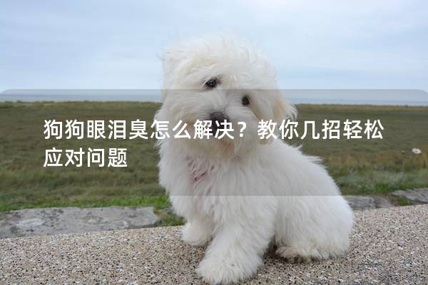 狗狗眼淚臭怎么解決？教你幾招輕松應對問題