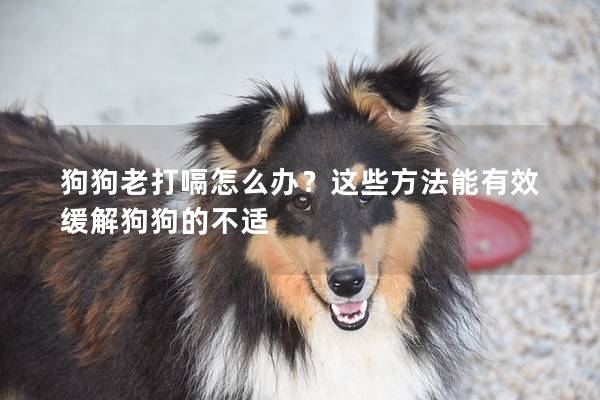 狗狗老打嗝怎么辦？這些方法能有效緩解狗狗的不適