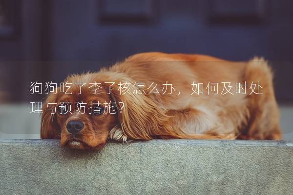 狗狗吃了李子核怎么辦，如何及時處理與預防措施？
