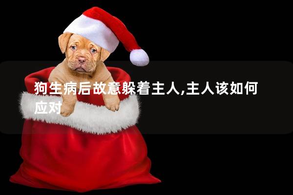 狗生病后故意躲著主人,主人該如何應(yīng)對(duì) 狗生病后故意躲著主人,主人該如何應(yīng)對(duì)