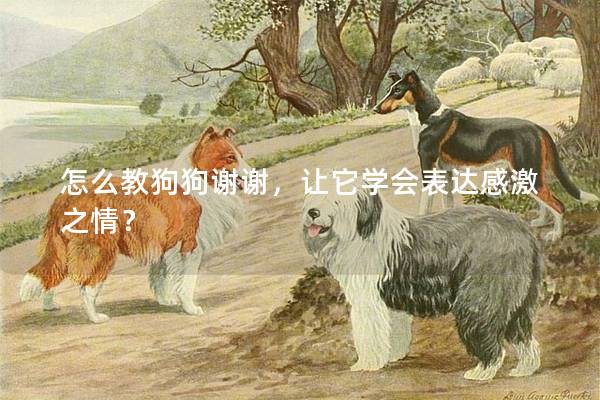 怎么教狗狗謝謝，讓它學會表達感激之情？