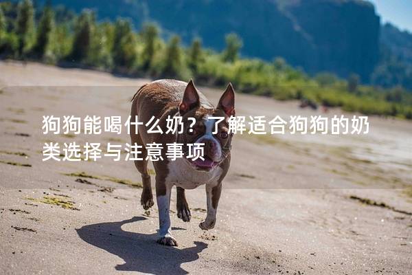 狗狗能喝什么奶？了解適合狗狗的奶類選擇與注意事項