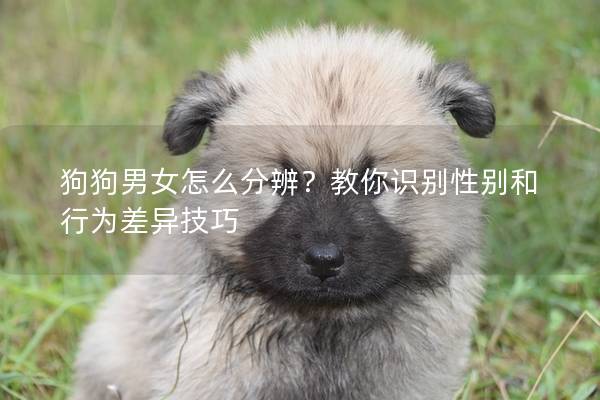 狗狗男女怎么分辨？教你識別性別和行為差異技巧