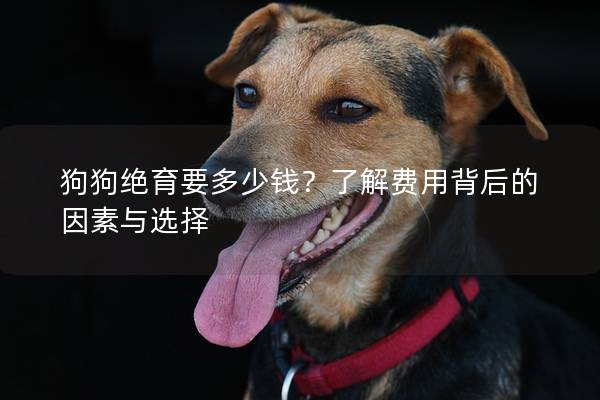 狗狗絕育要多少錢？了解費用背后的因素與選擇