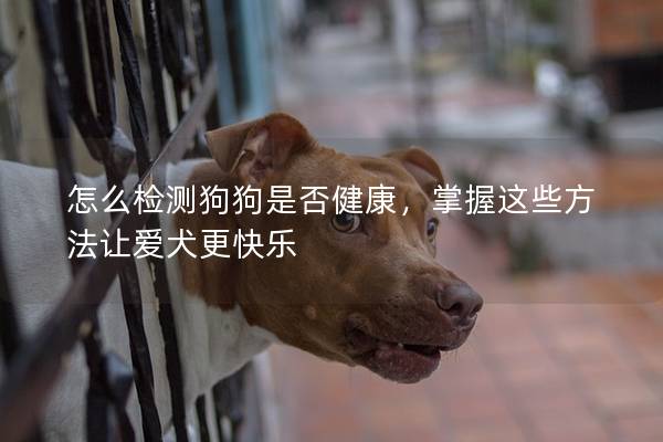 怎么檢測狗狗是否健康，掌握這些方法讓愛犬更快樂