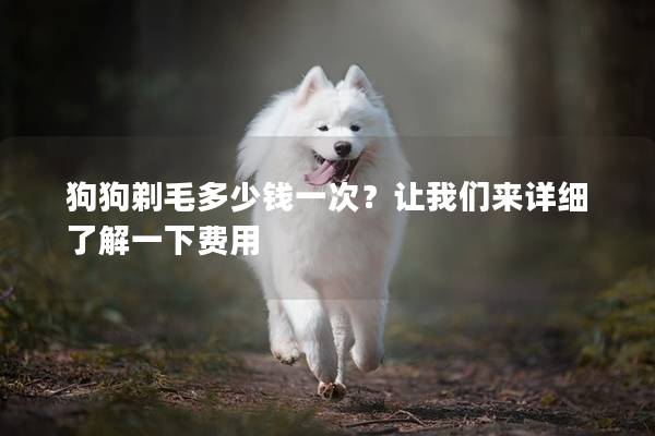 狗狗剃毛多少錢一次？讓我們來詳細了解一下費用