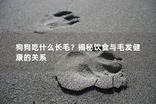 狗狗吃什么長毛？揭秘飲食與毛發健康的關系