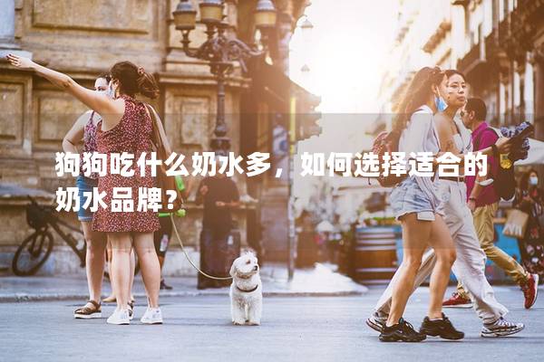 狗狗吃什么奶水多，如何選擇適合的奶水品牌？