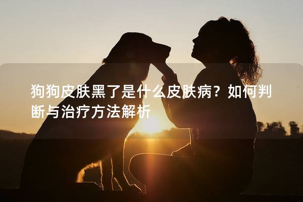 狗狗皮膚黑了是什么皮膚病？如何判斷與治療方法解析