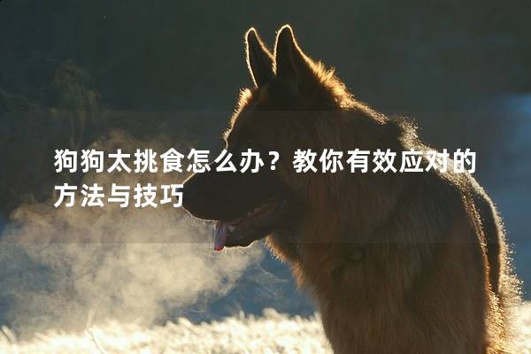 狗狗太挑食怎么辦？教你有效應對的方法與技巧