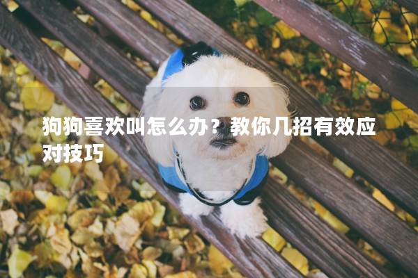 狗狗喜歡叫怎么辦？教你幾招有效應對技巧