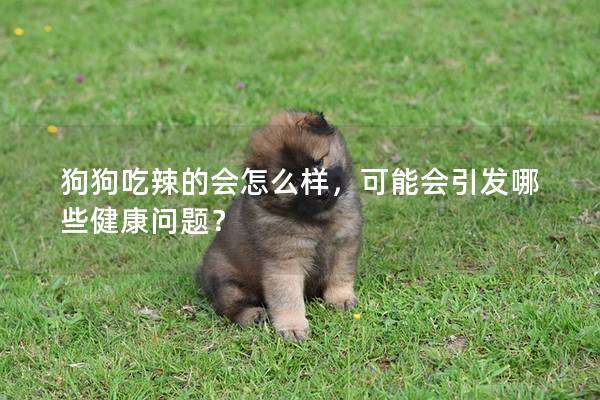 狗狗吃辣的會(huì)怎么樣，可能會(huì)引發(fā)哪些健康問題？