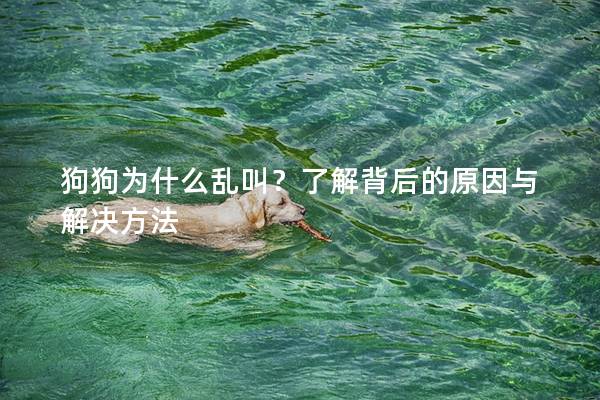 狗狗為什么亂叫？了解背后的原因與解決方法