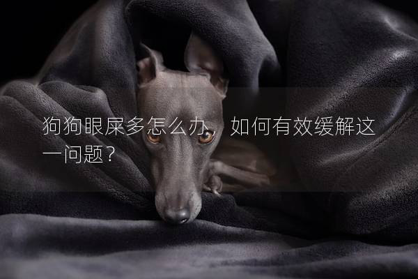 狗狗眼屎多怎么辦，如何有效緩解這一問題？