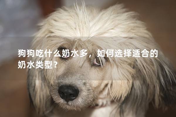 狗狗吃什么奶水多，如何選擇適合的奶水類型？