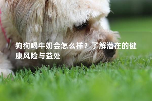 狗狗喝牛奶會怎么樣？了解潛在的健康風險與益處