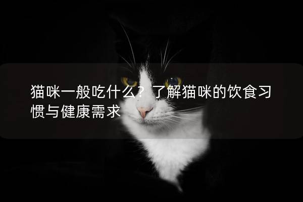 貓咪一般吃什么？了解貓咪的飲食習慣與健康需求