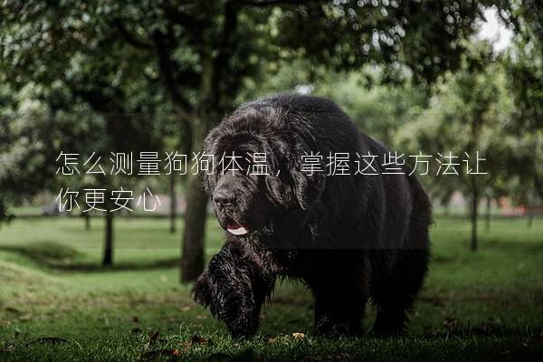 怎么測量狗狗體溫，掌握這些方法讓你更安心