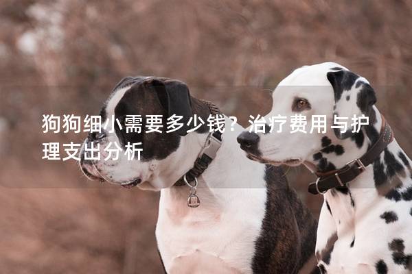 狗狗細小需要多少錢？治療費用與護理支出分析