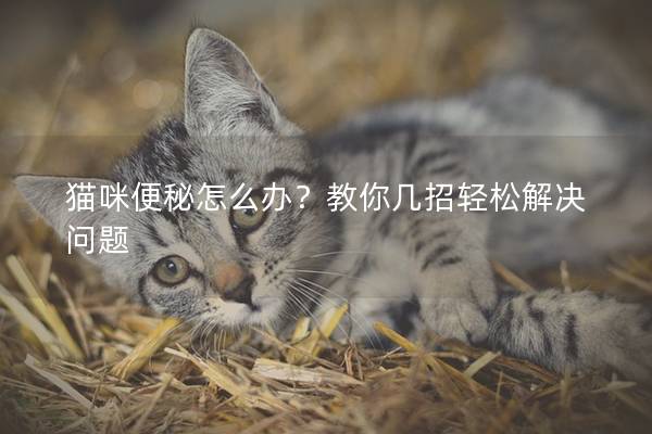 貓咪便秘怎么辦？教你幾招輕松解決問題