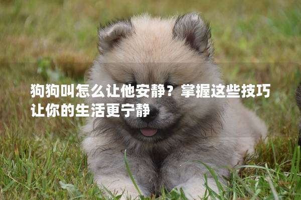 狗狗叫怎么讓他安靜？掌握這些技巧讓你的生活更寧靜