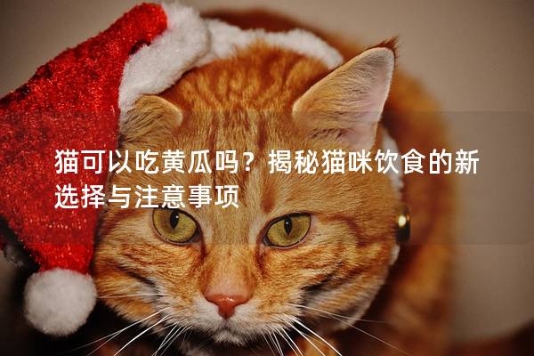 貓可以吃黃瓜嗎?揭秘貓咪飲食的新選擇與注意事項(xiàng) 貓可以吃黃瓜嗎?揭秘貓咪飲食的新選擇與注意事項(xiàng)