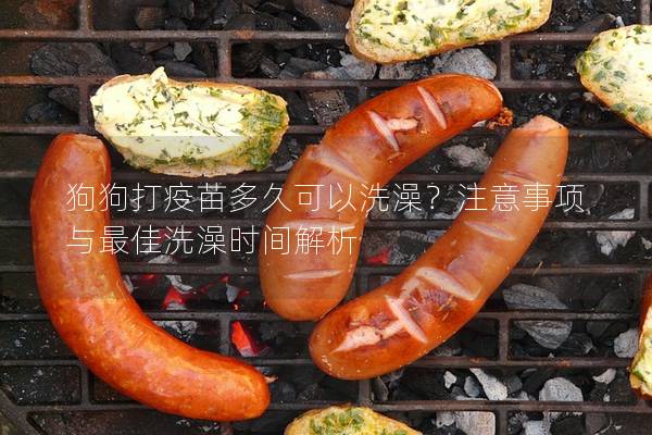 狗狗打疫苗多久可以洗澡？注意事項(xiàng)與最佳洗澡時(shí)間解析