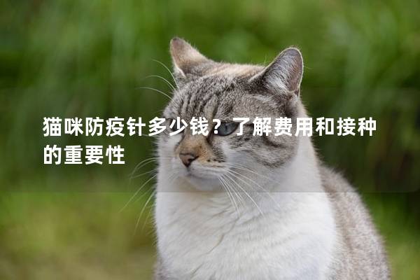 貓咪防疫針多少錢？了解費用和接種的重要性