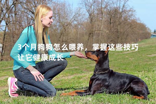 3個月狗狗怎么喂養,掌握這些技巧讓它健康成長 3個月狗狗怎么喂養,掌握這些技巧讓它健康成長