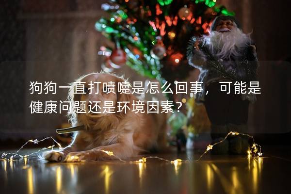 狗狗一直打噴嚏是怎么回事,可能是健康問題還是環境因素?