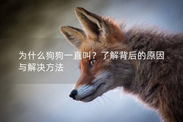 為什么狗狗一直叫？了解背后的原因與解決方法