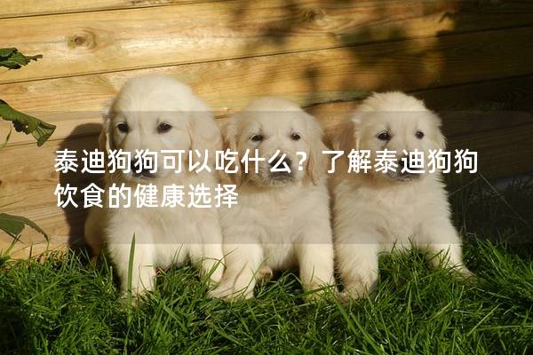 泰迪狗狗可以吃什么？了解泰迪狗狗飲食的健康選擇