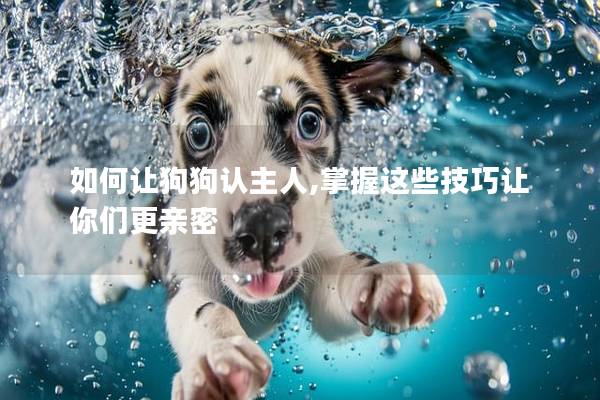 如何讓狗狗認主人,掌握這些技巧讓你們更親密