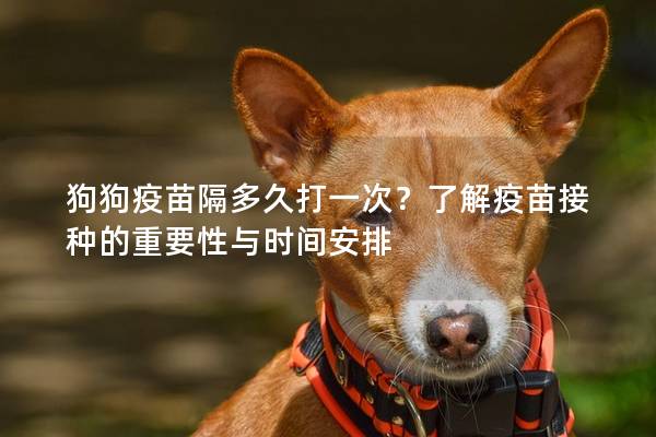 狗狗疫苗隔多久打一次？了解疫苗接種的重要性與時間安排