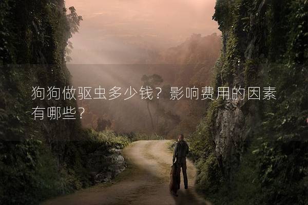 狗狗做驅(qū)蟲多少錢？影響費用的因素有哪些？