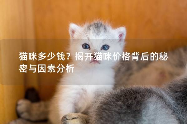 貓咪多少錢？揭開貓咪價格背后的秘密與因素分析
