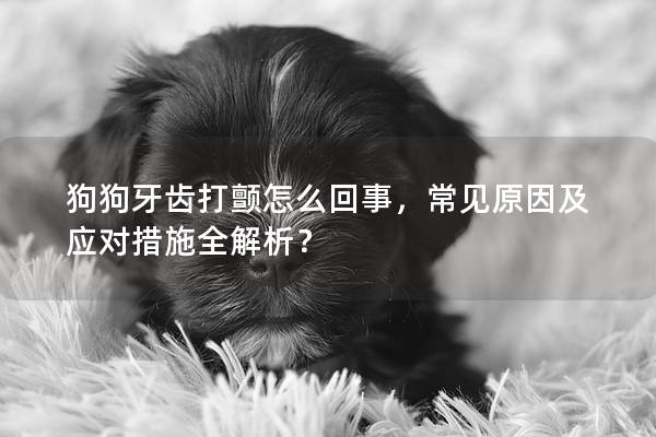狗狗牙齒打顫怎么回事，常見原因及應對措施全解析？