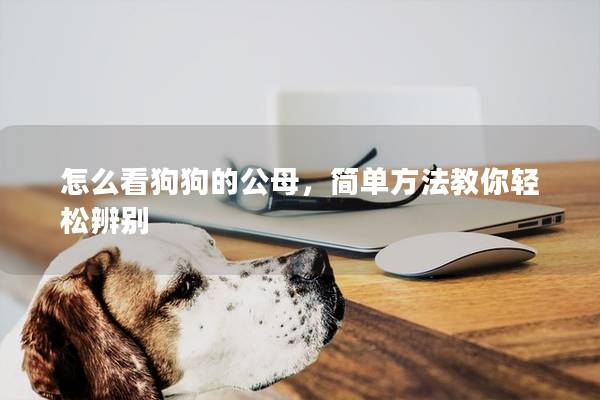 怎么看狗狗的公母，簡單方法教你輕松辨別