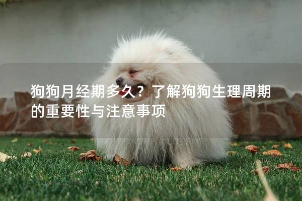 狗狗月經期多久？了解狗狗生理周期的重要性與注意事項