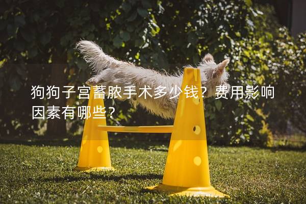 狗狗子宮蓄膿手術多少錢?費用影響因素有哪些? 狗狗子宮蓄膿手術多少錢?費用影響因素有哪些?