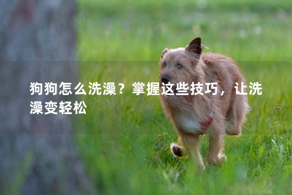 狗狗怎么洗澡？掌握這些技巧，讓洗澡變輕松