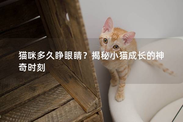 貓咪多久睜眼睛？揭秘小貓成長的神奇時刻