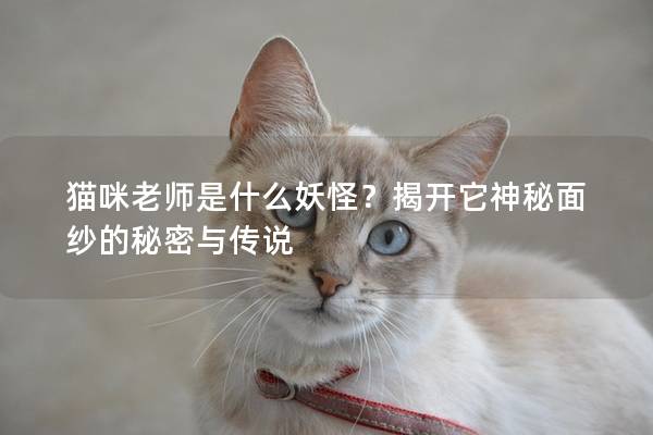 貓咪老師是什么妖怪？揭開它神秘面紗的秘密與傳說